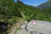 32 Da questo segnavia o meglio dal prossimo prendo a dx per il Vallone (non segnato) 